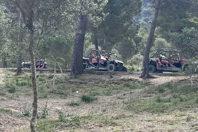 From East Mallorca: Guided Beach and Mountain Buggy Tour