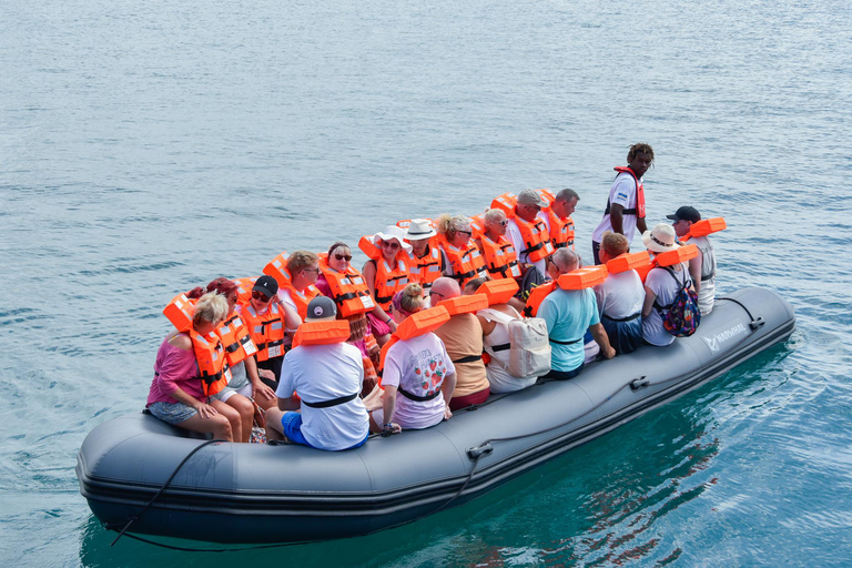 Boa Vista Catamaran Tour: All Inclusive Bay CruiseAdults Only - Boa Vista Catamaran Tour: All Inclusive