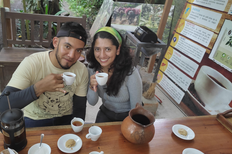 Mindo: &quot;Pássaros, chocolate/café e cachoeiras&quot;