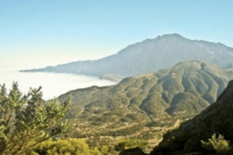 Arusha : 3 jours d&#039;ascension du Mont Meru en groupe