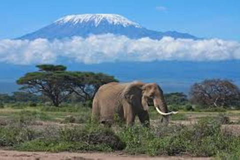 Mombasa: 4-Day Tsavo East, West, & Taita Hills Safari