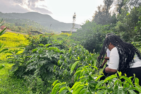 experiencia del café y excursión a la isla napoleón en el lago kivu