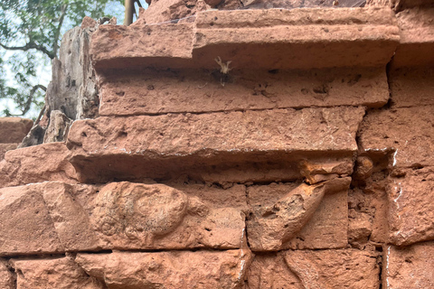 Las mejores excursiones/traslado al santuario de My Son7 a.m. únete a la visita guiada en grupo (evita la multitud y el calor)