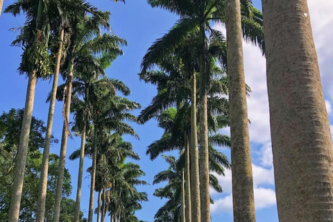 From Accra: ATV, Aburi Gardens, & Waterfalls Trip with Lunch