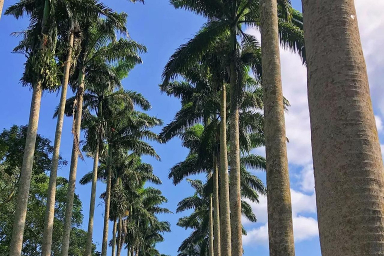 From Accra: ATV, Aburi Gardens, & Waterfalls Trip with Lunch