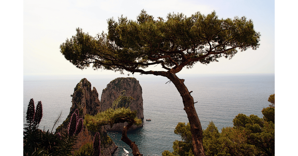 CAPRI ISLAND: DAILY TRIP FROM NAPLES + BOAT TOUR | GetYourGuide