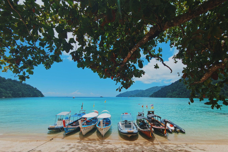 Phuket: Excursión de un día a las Islas Surin en lancha rápida