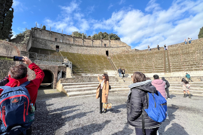 Naples: Pompeii &amp; Mt. Vesuvius Day Trip with Tickets &amp; LunchSmall Group Tour in French (up to 8 Pax)