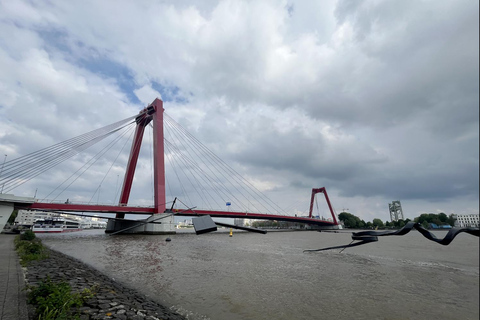 Rotterdam: Tour a pie por el centro de la ciudad