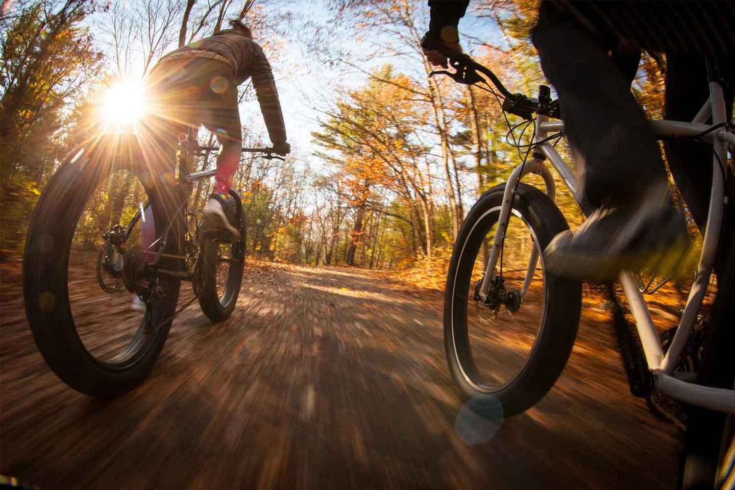 Luleå: Fatbike Rental, explore Luleå like a Local!