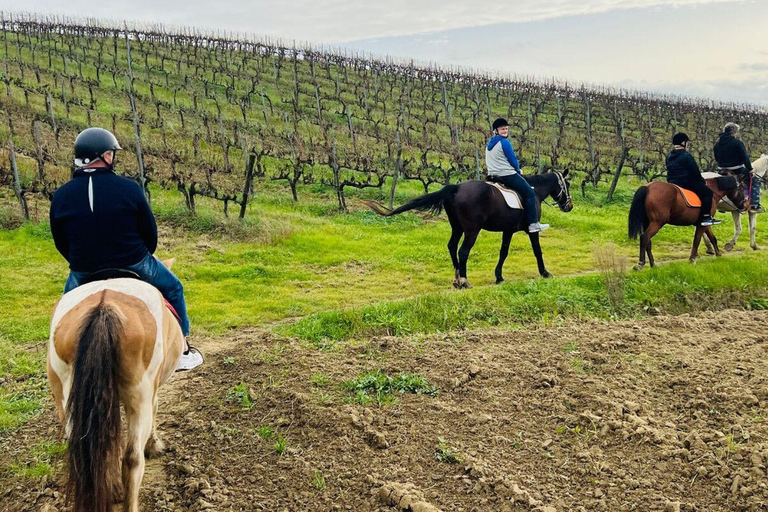 Tuscany Horseback Ride, Lunch, & Wine - Small Group From San Gimignano