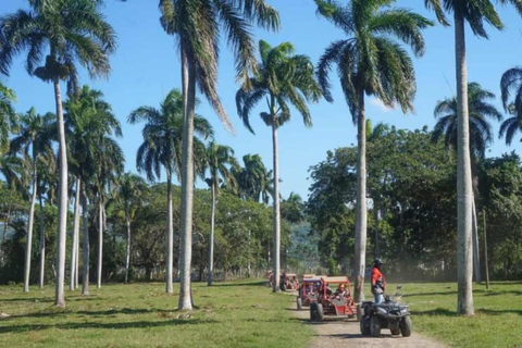 Puerto Plata: excursión en buggy con visita a una fábrica de puros y parada en la playa