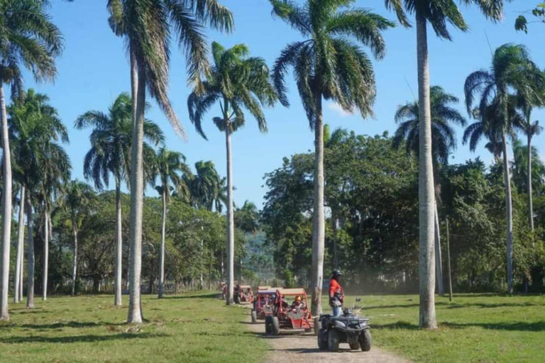 Puerto Plata: excursión en buggy con visita a una fábrica de puros y parada en la playa