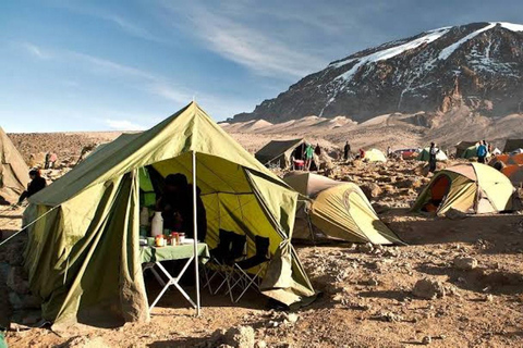 Kilimanjaro: 6-Day Rongai Route Trek with Accommodation