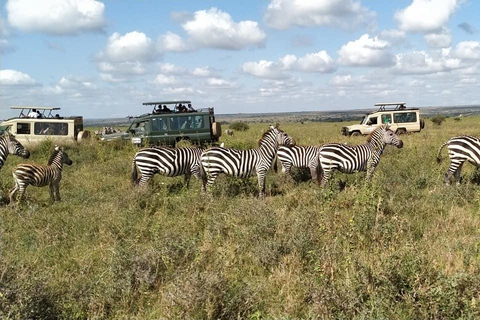 Jednodniowa wycieczka do Parku Narodowego Nairobi i Centrum Żyraf