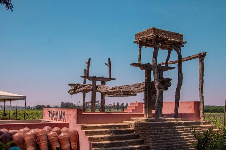Ica: Tacama and CulturPisco Sightseeing Tour with Wine and Pisco Tasting