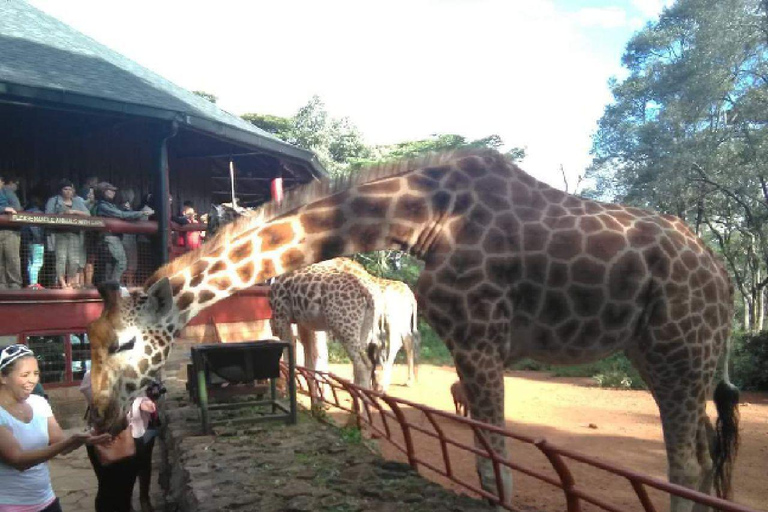 Nairobi National park