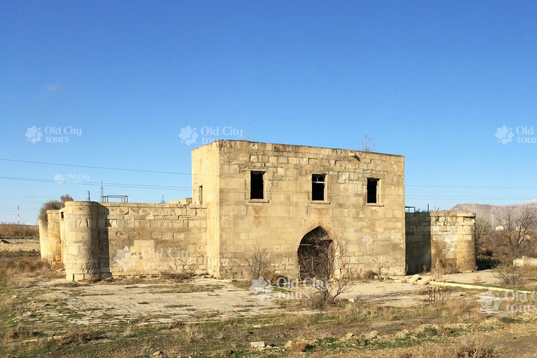 Shirvan Eco-Tour: Gazelles, Birdwatching & Village Lunch Private tour