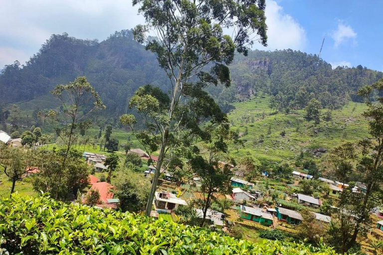 Negombo: 3-Day Sigiriya, Kandy, & Nuwara Eliya Tour
