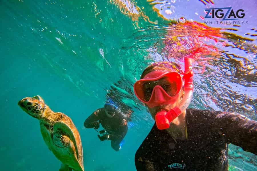 Airlie Beach: Whitehaven-Tagestour | Katamaran mit Klimaanlage. Foto: GetYourGuide
