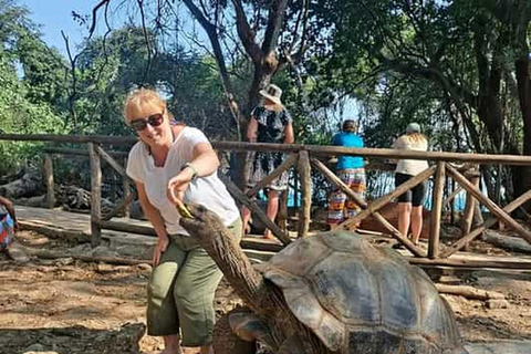 Zanzibar: Gevangeniseiland privé halfdaagse tour met gids.