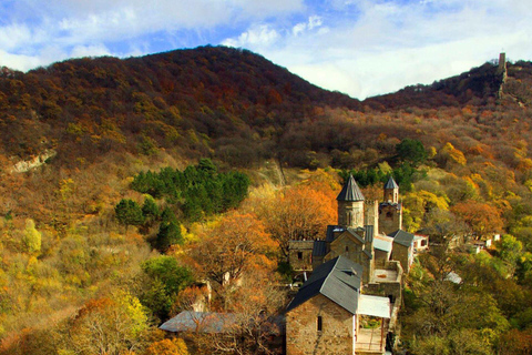 Tbilisi: SSV Buggy Tour with Guide and Safety Gear