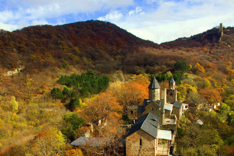 Tbilisi: SSV Buggy Tour with Guide and Safety Gear