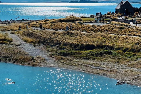 Christchurch : Visite d'une jounée privée du Mt Cook via le lac Tekapo