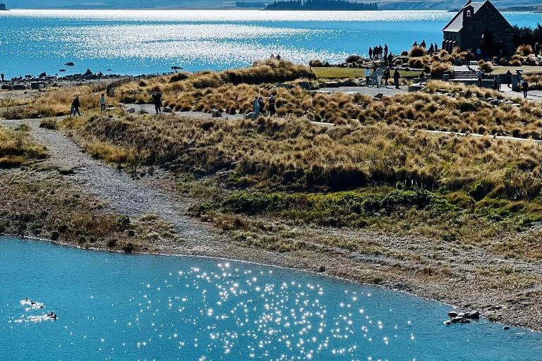Christchurch : Visite d'une jounée privée du Mt Cook via le lac Tekapo