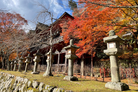 Asuka: Discover Origin of Japan–Historical Site and Nature