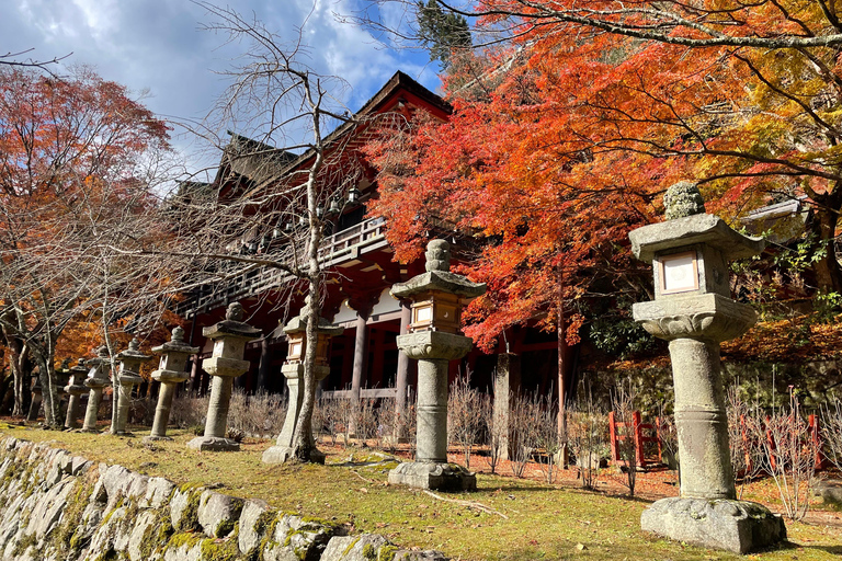 Asuka: Discover Origin of Japan–Historical Site and Nature