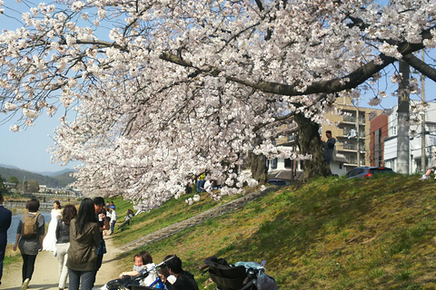 Kyoto:Three Gardens Bike Tour