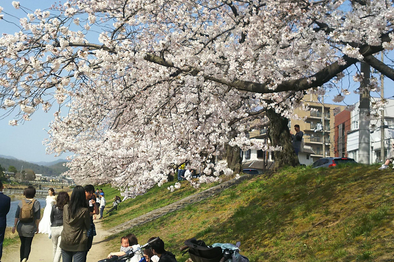 Kioto:Recorrido en Bicicleta por los Tres Jardines