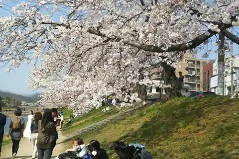 Kyoto:Three Gardens Bike Tour