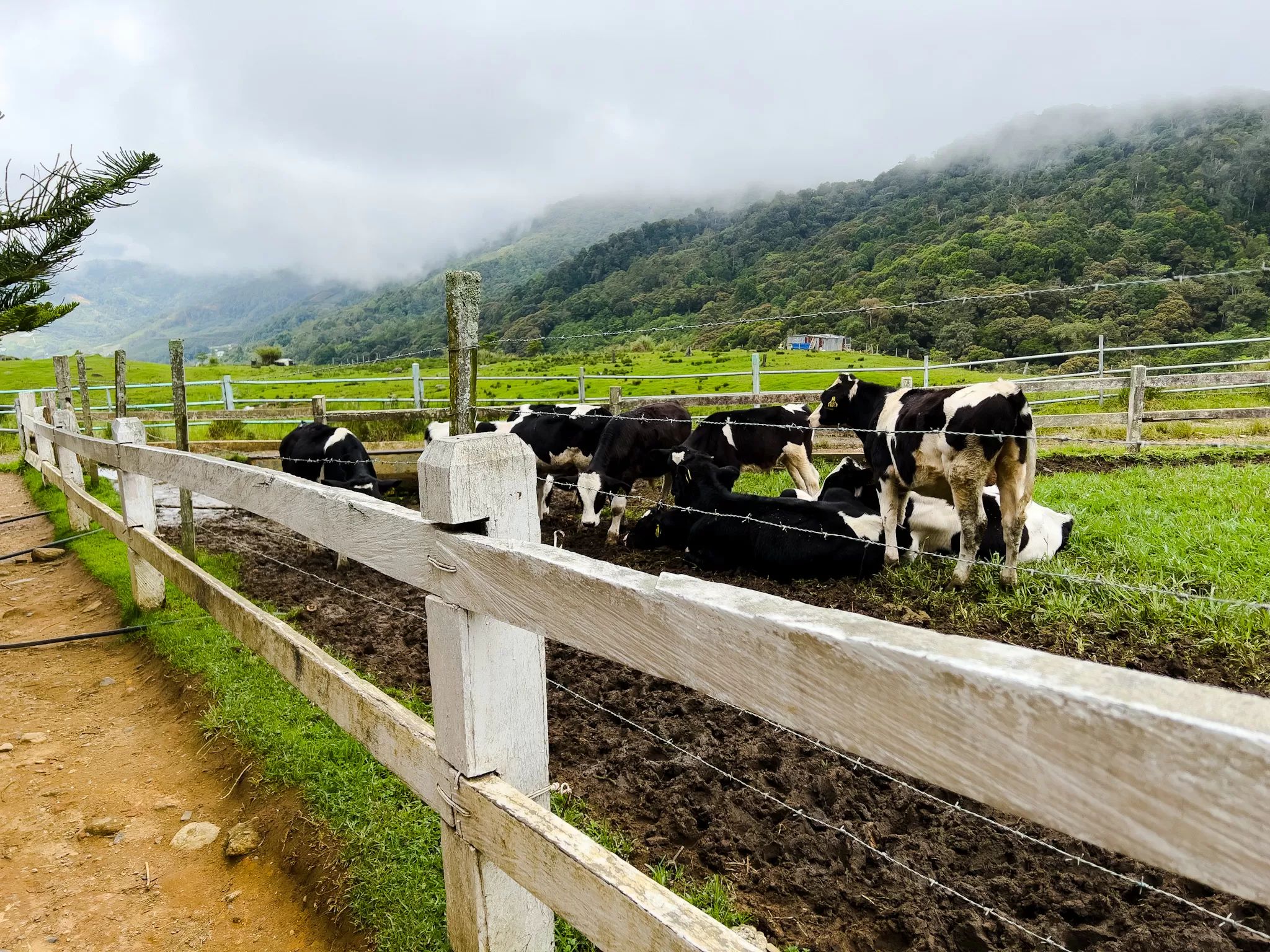 Sabah: Kundasang Tagestour