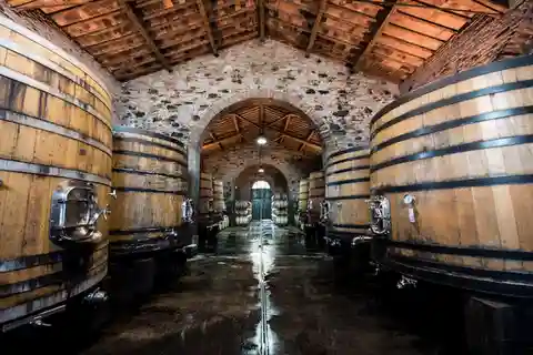 Tenimenti d'Alessandro - Visita à adega e degustação de vinhos