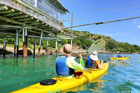 Costa dei Trabocchi: "Il Cavalluccio" sea kayak excursion Trabocchi Coast: sea kayak excursion "The Little Horse"