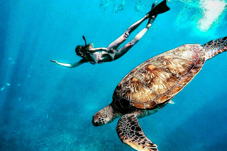 Lombok: Private Snorkeling,Gili Trawangan,Gili Meno,Gili Air Start From: Tetebatu/Lembar Port/Gili Mas Port