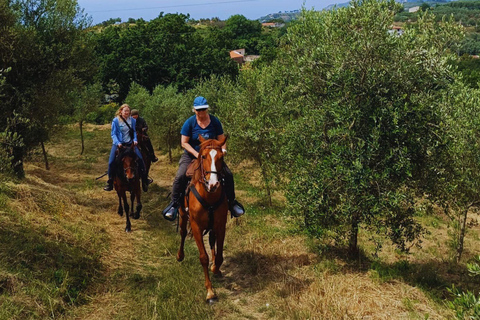 Sorrento: 3-godzinna przejażdżka konna po półwyspie Sorrento