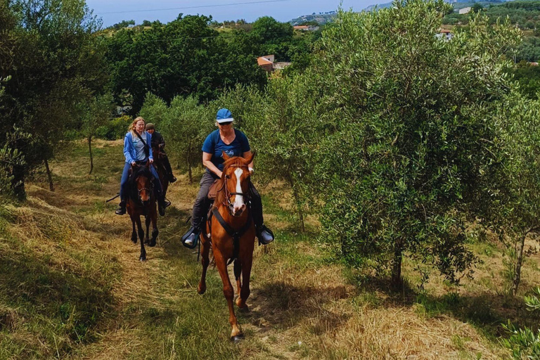 Sorrento: 3-godzinna przejażdżka konna po półwyspie Sorrento