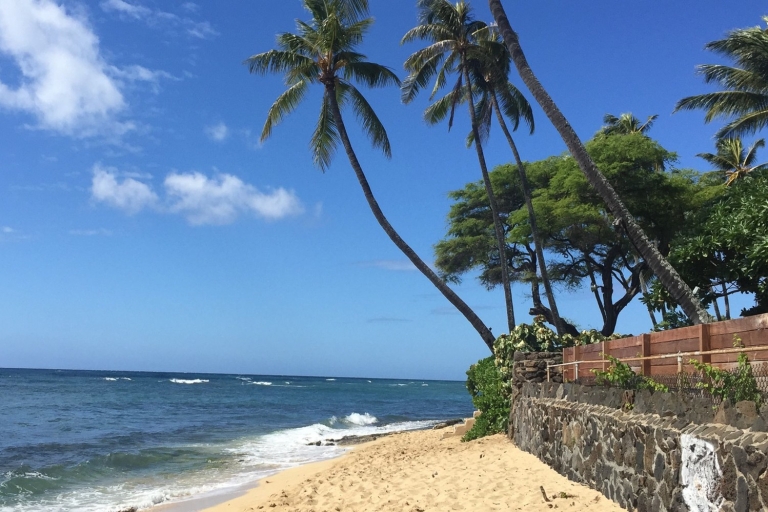 Oahu: tour por lo más destacado de Oahu en grupo reducido
