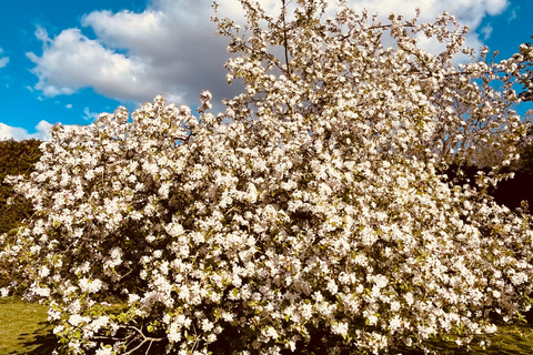 Le Havre: Normandy Villages, Cheese & Calvados Day Tour