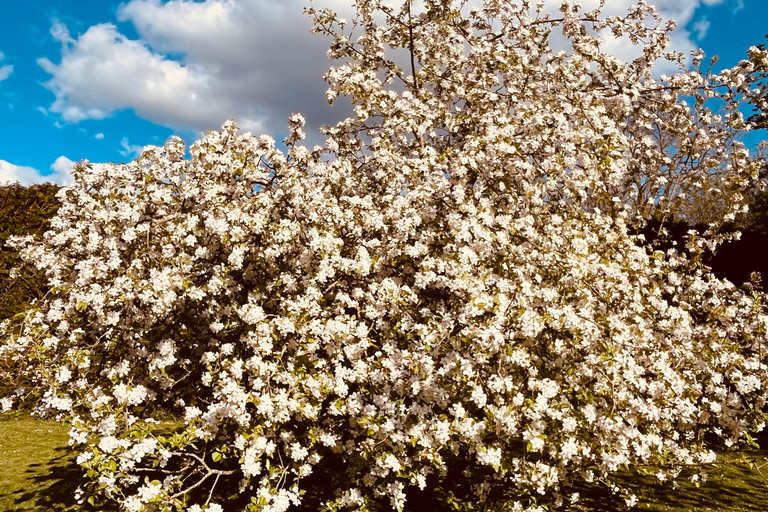 Le Havre: Normandy Villages, Cheese & Calvados Day Tour