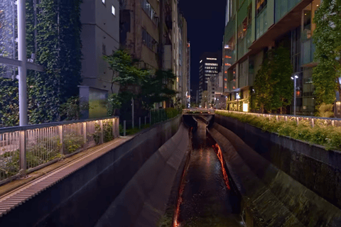 Tokyo: Shibuya Sky Night Views and Nightlife Adventures