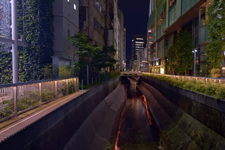 Tokyo: Shibuya Sky Night Views and Nightlife Adventures