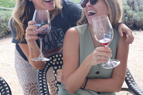 De Barcelona: Viagem de um dia a Tarragona com guia e prova de vinhos