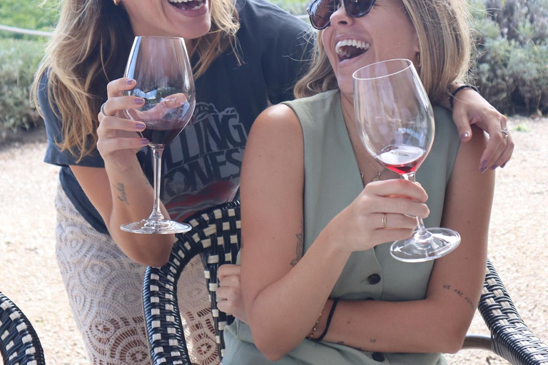 De Barcelona: Viagem de um dia a Tarragona com guia e prova de vinhos