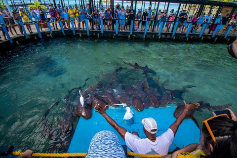 Cartagena: Destino 4 Islas en barco + tickets de entrada al Oceanario