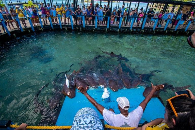 Cartagena: 4 Island destination by boat + Oceanarium tickets