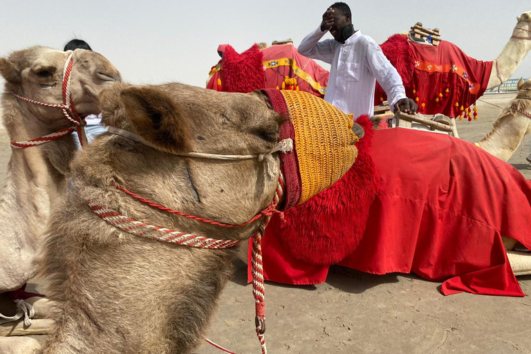 Doha: Woestijnsafari + GRATIS kamelenrit vanaf CRUISE TERMINAL